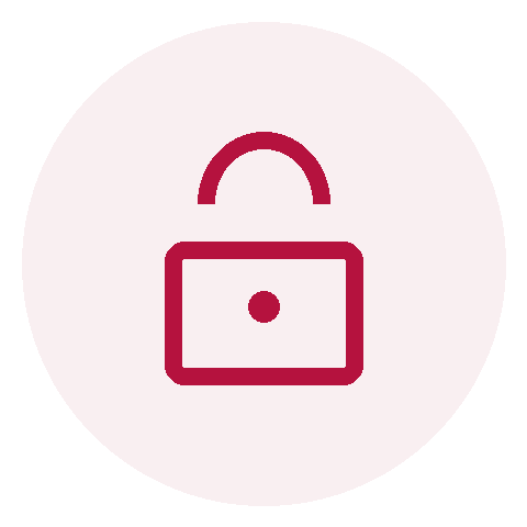 icon-secure.png